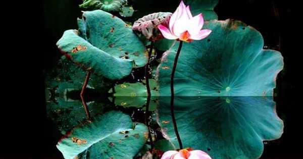 Tết Đoan ngọ: Diệt sâu bọ ngoài thân, diệt phiền não trong tâm