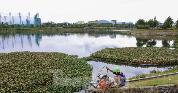 Cận cảnh hồ điều tiết ở Đà Nẵng được đầu tư hơn 17 tỷ đồng để nạo vét