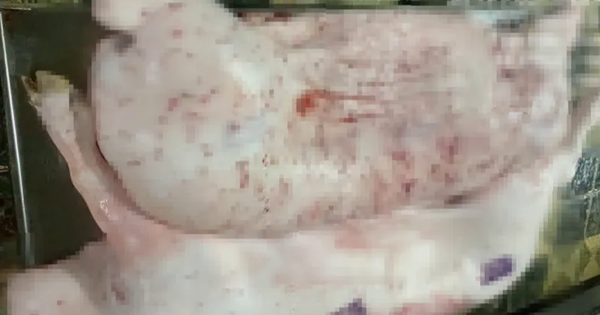 Nóng trên mạng tuần qua (26/5-1/6): Lo sợ thịt lợn bệnh, phẫn nộ hàng giả, băn khoăn giá vàng