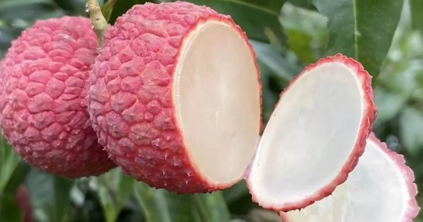 Đắt hơn cả cherry Mỹ, một loại quả quen thuộc ở Việt Nam trở thành thực phẩm xa xỉ ở Trung Quốc