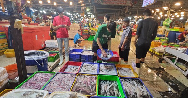 Bộ Tài chính: Có hộ kinh doanh hải sản tươi sống đạt doanh thu gần 560 tỉ đồng