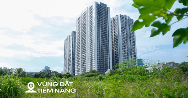 Toàn cảnh khu đất vàng rộng 6 ha vừa được thu h...