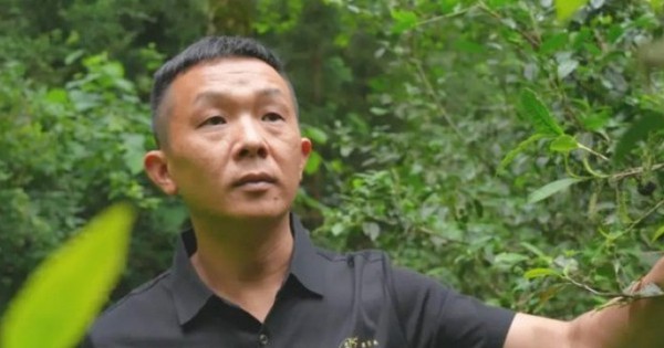 “Chúa nợ” bỏ phố về quê, biến lá cây dại thành ...