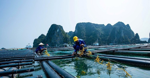 Một mặt hàng tỷ đô có lượng xuất khẩu đột biến:...