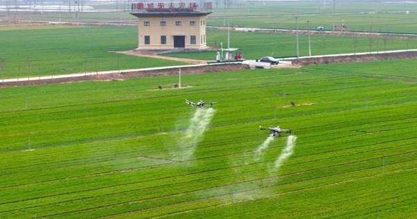 Những cánh đồng không bóng nông dân tại Trung Q...