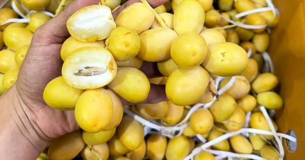 Loại quả kỳ lạ "cắn dọc thì ngọt, cắn ngang thì chát": Hóa ra là "khắc  tinh" của ung thư và tiểu đường