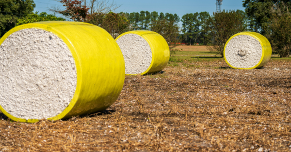 Mỹ đã chi hơn 10 tỷ USD mua một mặt hàng quan trọng của Việt Nam: Nước ta vừa vươn lên đứng thứ 2 thế giới, hàng trăm quốc gia đã đặt gạch mua hàng