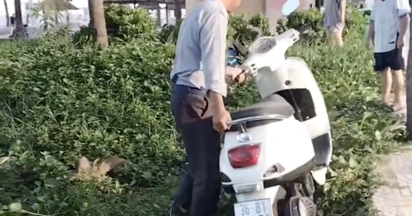 Ban Quản lý lên tiếng vụ clip bảo vệ dắt xe máy...