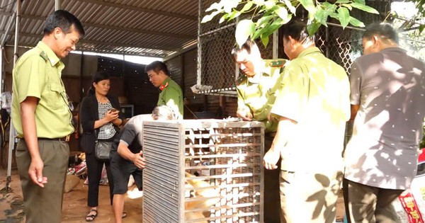 Bắt được động vật "lạ", lên mạng tra cứu thì tá...