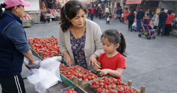 Cháu gái 5 tuổi kiên quyết ngăn bà ngoại mua dâu tây, lý do khiến người bà hốt hoảng: Thật sự quá đáng!