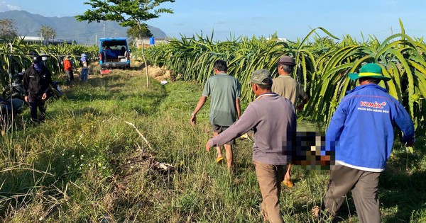 Người đàn ông tử vong trong vườn thanh long ở Lâm Đồng