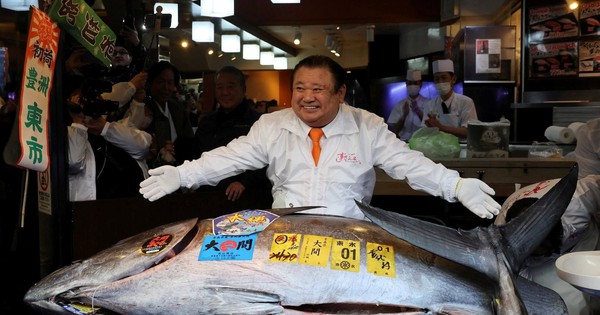 Con cá ngừ vây xanh giá 84 tỷ đồng