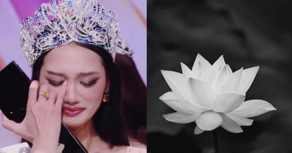 Nguyễn Quỳnh Anh - Miss Universe Vietnam 2026 vừa đăng quang đã về quê chịu tang