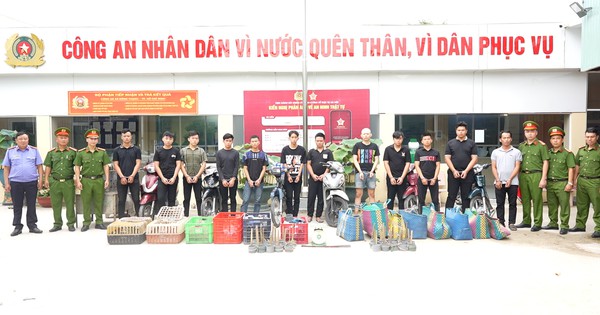 Bắt 12 người trong đường dây trộm, tiêu thụ 2.700 con mèo