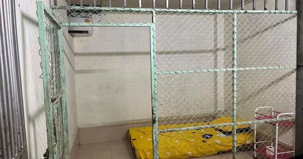 Mẹ già tố bị vợ chồng con trai lừa vào trung tâm chăm sóc "nhốt" suốt 2 năm để chiếm tài sản: Cảnh tượng sau những rào sắt gây sốc