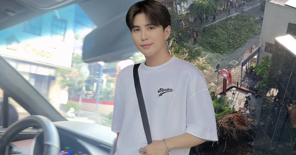Xe của Will bị cây cổ thụ trên đường Đinh Tiên Hoàng đổ trúng