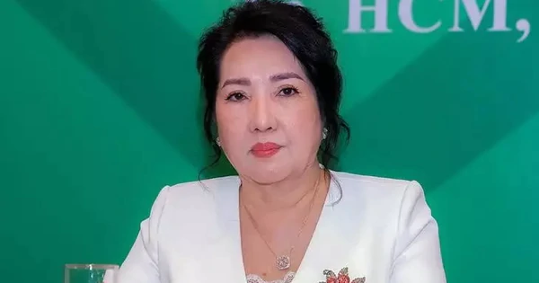 Lý do bà Như Loan được chuyển từ án treo sang cải tạo không giam giữ