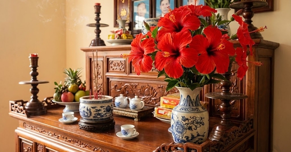 Hoa đẹp nhưng "độc": 3 loại hoa rực rỡ tuyệt đối không dâng lên bàn thờ gia tiên kẻo phạm húy, mất lộc