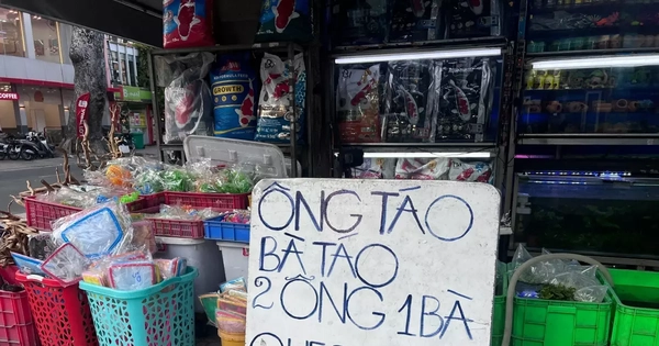 Cá chép '2 ông 1 bà' ngóng khách