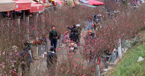 Đi chợ hoa xuân với bạn trai một buổi, lúc về tôi kể lại chuyện với mẹ, bà "phán" luôn: Bỏ ngay