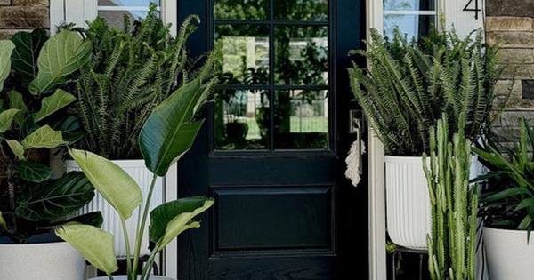 3 loại cây nên trồng trước cửa nhà năm Bính Ngọ