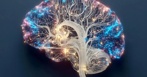 Nghiên cứu Mỹ phát hiện điều kỳ lạ xảy ra khi thiếu ngủ