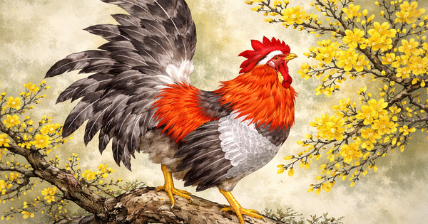 Tử vi ngày mới 12/2: 3 con giáp may mắn bậc nhất, hốt bạc cuối năm, chuẩn bị đón Tết sung túc