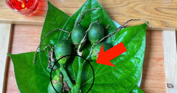 Chọn cau thắp hương đừng chỉ chọn quả to, vỏ nhẵn: Đây mới là 3 điểm cần nhìn, chỉ người "sành" mới biết