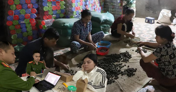 Đồng loạt khám xét 6 địa điểm ở 2 tỉnh trong chuyên án thuốc giả quy mô lớn, bắt Đoàn Thị Lam SN 1972