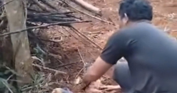 Xác định được người mẹ bỏ rơi con sơ sinh trong rẫy vắng