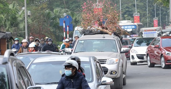 Về quê ăn Tết, chở đào, quất trên nóc ô tô con có bị phạt không?
