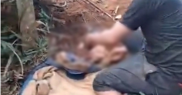 Bé sơ sinh bị bỏ trong rẫy, kiến bu khắp người: Mẹ 17 tuổi, tự sinh rồi bỏ, cả nhà không ai biết