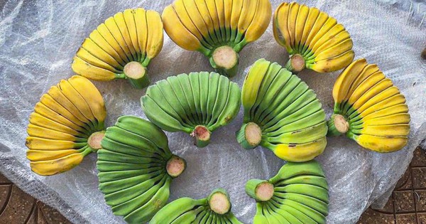 Chuối tay Phật, hoa bắp cải hút khách Hà Nội dịp Tết