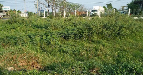 Người dân chuyển đất nông nghiệp sang đất ở trước năm 2026 sẽ được hoàn lại tiền