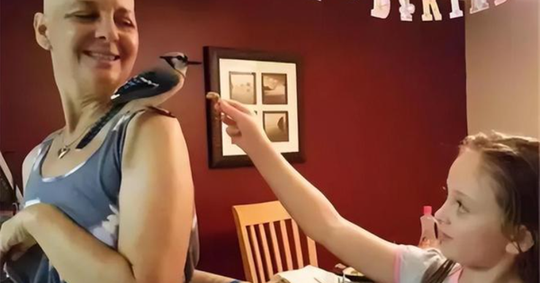 Được cứu sống lúc hấp hối, chú chim nhỏ "trả ơn" người phụ nữ mắc ung thư theo cách bác sĩ cũng ngỡ ngàng