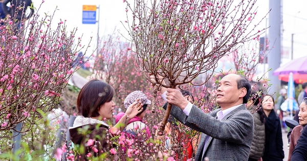 Người dân ăn Tết ở Hà Nội được hưởng đặc quyền sau