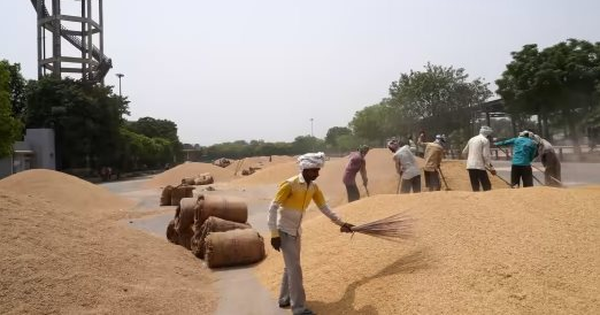 Đối thủ gạo lớn nhất của Việt Nam đón cú sốc đầu năm