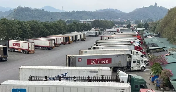 Thủ tướng chỉ đạo "nóng" về thông quan hàng hóa