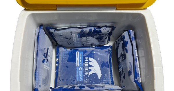 Fuji Ice: Tiên phong công nghệ sản xuất đá gel giữ lạnh trong bảo quản