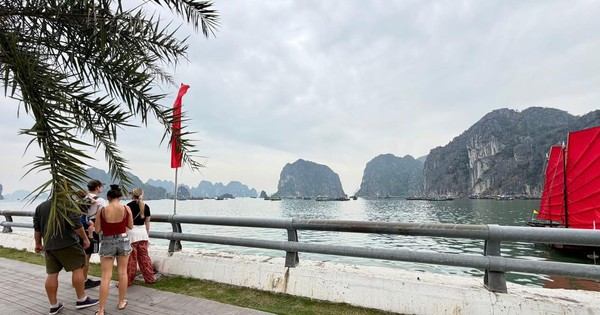 Cảnh tượng ngay lúc này trên vịnh Hạ Long: Sau gần 30 năm mới thấy lại, nhiều người không tin vào mắt mình