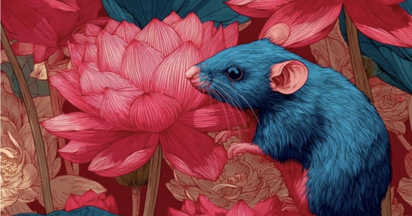 Tuần mới, 4 con giáp này được trời xanh yêu quý, quý nhân hộ mệnh, lương thưởng dồi dào sắm Tết linh đình