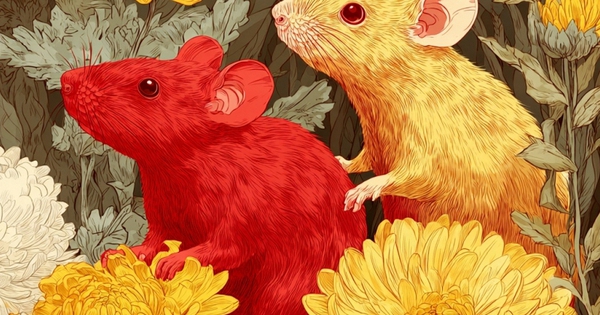 Tử vi ngày 10/2: Trời xanh an bài, 3 tuổi này bước chân ra ngõ là gặp quý nhân, công việc trôi chảy như thuyền xuôi gió