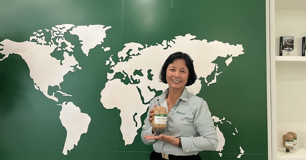 Ai là người đứng sau "giống lúa tỷ đô" của Việt Nam, được nước nhập gạo số 1 thế giới cân nhắc làm chuẩn?