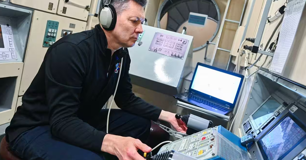 Nga đón một năm 