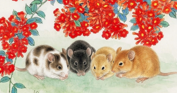 Chỉ mặt điểm tên 4 con giáp "hốt bạc" nửa đầu năm 2026: Vận trình lên hương nhờ một điểm chung ít ai ngờ tới!