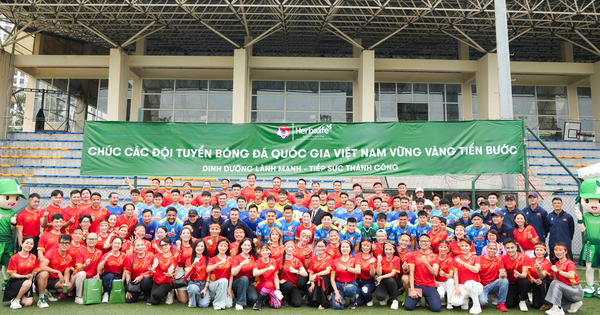 Chiến lược “kiềng ba chân” của Bóng đá Việt Nam: Khi nội lực gặp gỡ điểm tựa dinh dưỡng