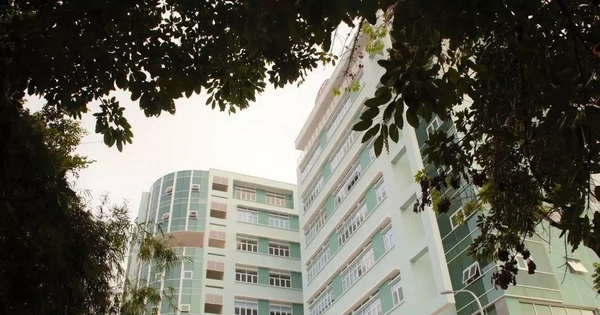 Bị nợ lương, giảng viên trường cao đẳng phải làm shipper mưu sinh