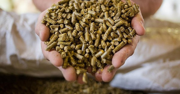 'Mỏ vàng' 250 triệu USD: Loại mặt hàng 'phụ phẩm' của Việt Nam đang được Trung Quốc săn đón ráo riết