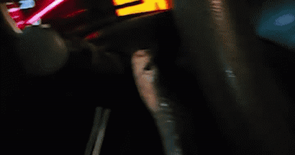 Chuyên gia bắt rắn kể lại giây phút sinh tử khi con rắn hổ mang bất ngờ cắn rách bao tải, bò khắp xe ô tô