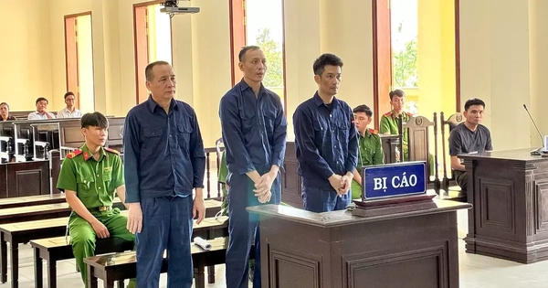 Cựu Chủ tịch, Tổng Giám đốc Công ty CP Xây dựng hạ tầng KCN Cần Thơ lĩnh án